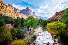 Zion National Park Tour