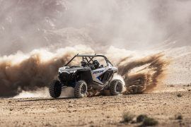 Mojave Desert Adventure